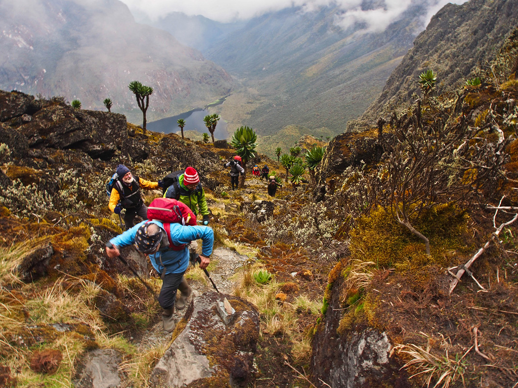 Rwenzori trekking packages for Central Circuit route