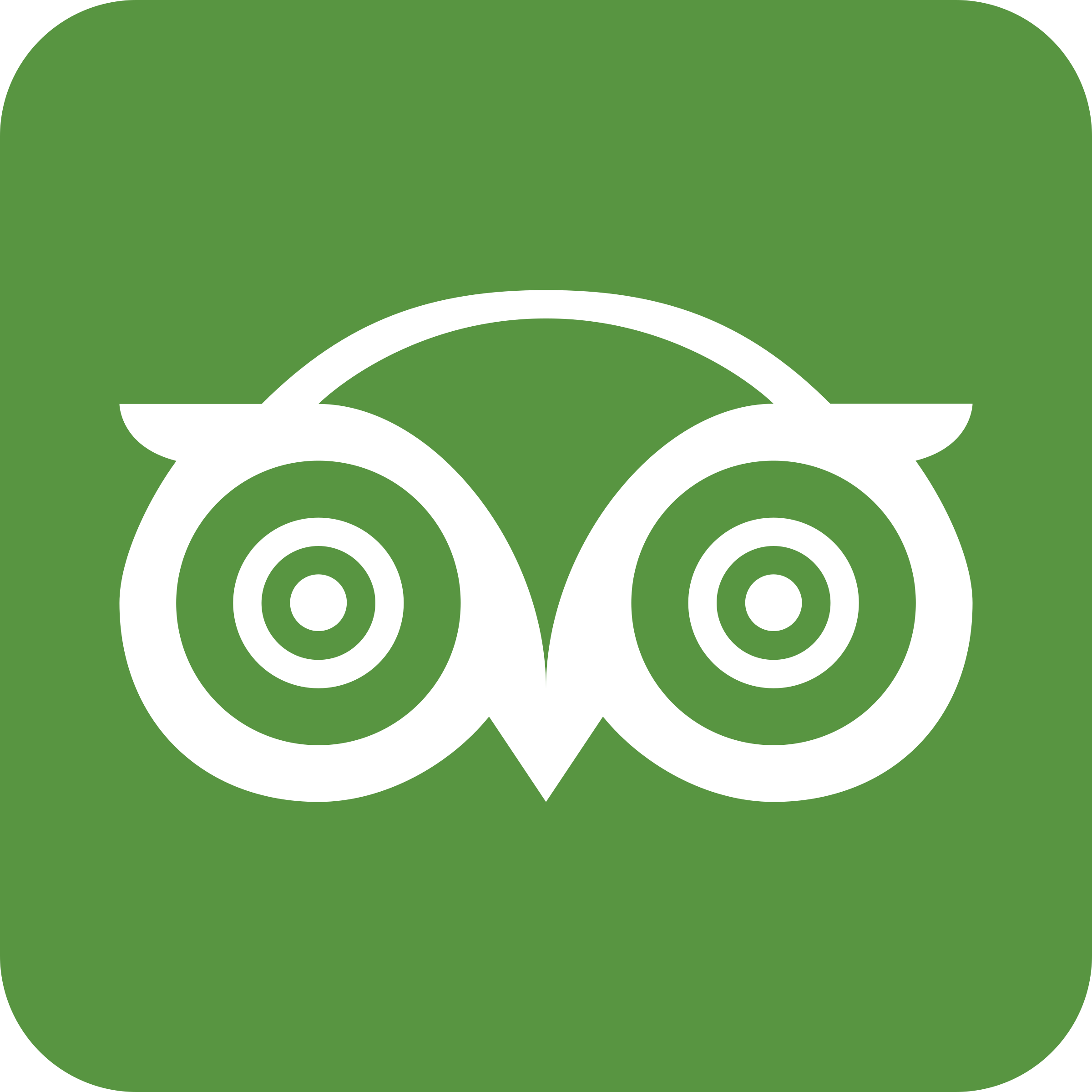 Trip Advisor Logo