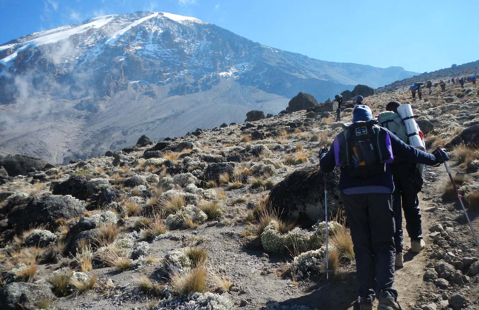 8 day Lemosho route itenary-climb Kilimanjaro