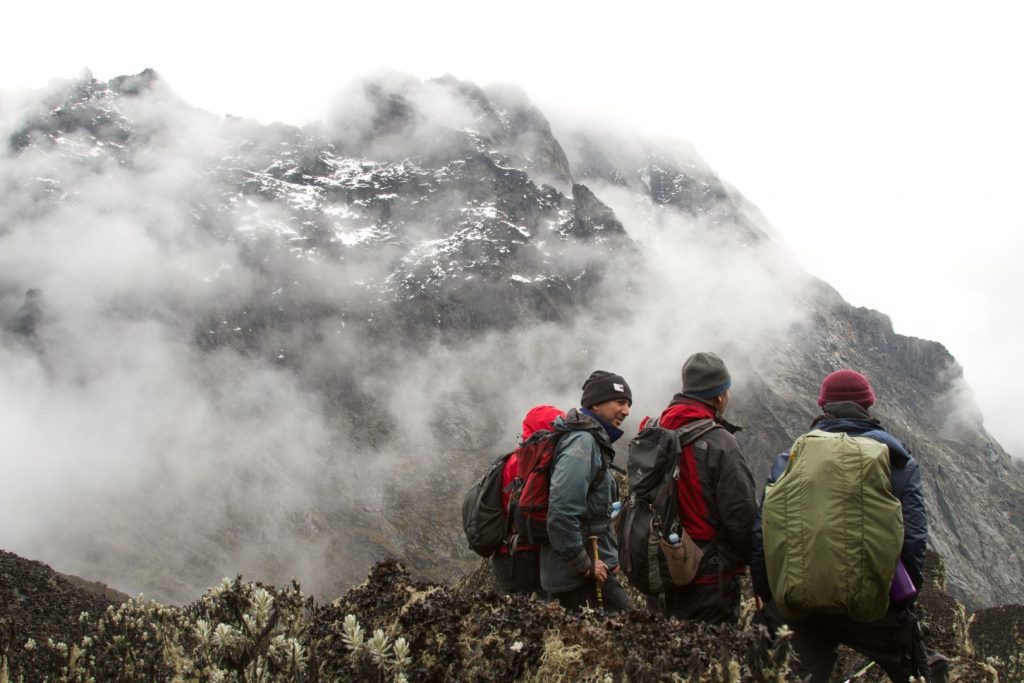 Rwenzori mountains hiking
