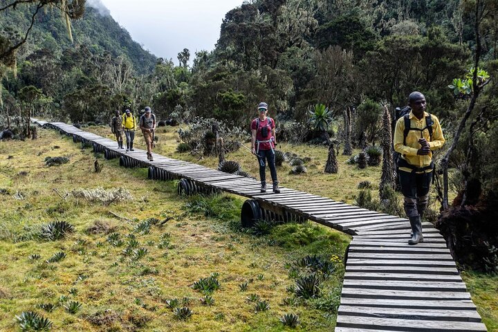 Rwenzori trekking trails