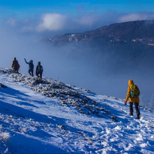 climbing Rwenzori mountains in Uganda