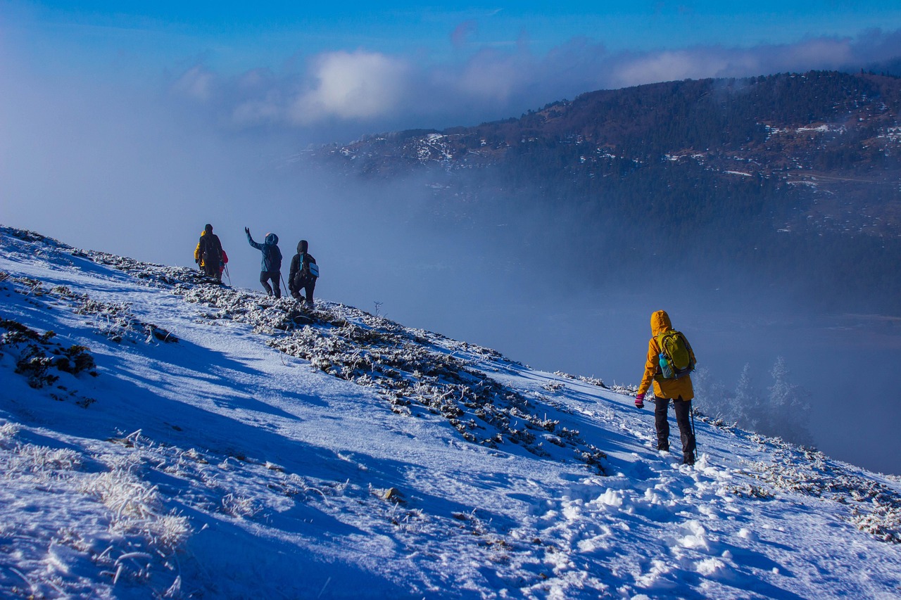 climbing Rwenzori mountains in Uganda