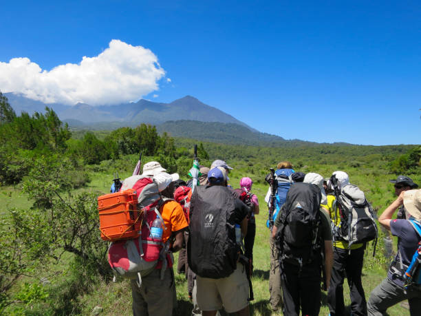 Group tours in Kilimanjaro