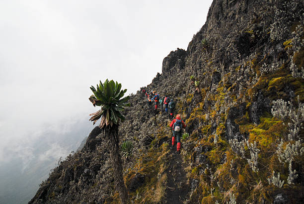 Rwenzori climbing tours