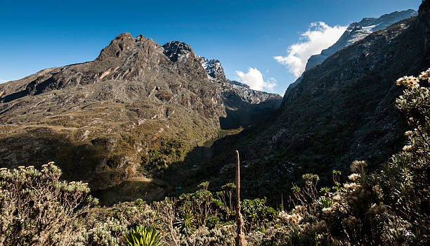 Rwenzori Mountains National Park, Uganda