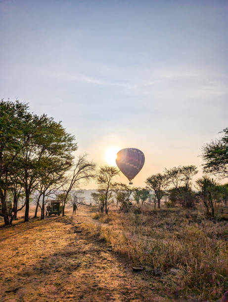 Hot air balloon is flying over the serengeti national park in tanzania, africa, at sunrise, creating a breathtaking view of the landscape
