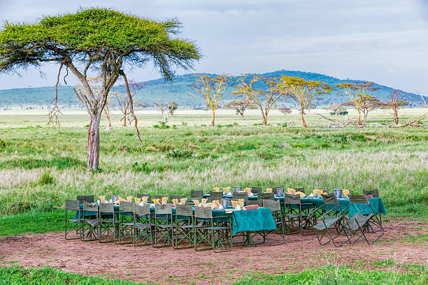 Diners in the Serengeti wilderness