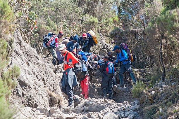 A large group of local porters and mountain guides is pulling, pushing and carrying a one-wheeled emergency gurney down the Mweke Route of Mt. Kilimanjaro